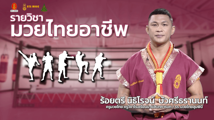 มวยไทยอาชีพ