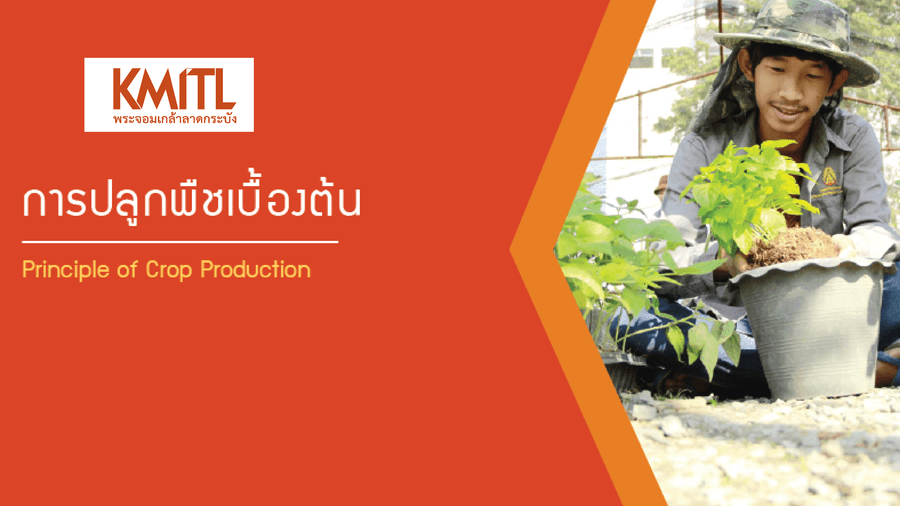 การปลูกพืชเบื้องต้น