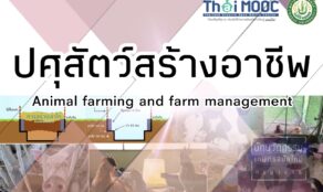 course thumbnail