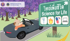 course thumbnail