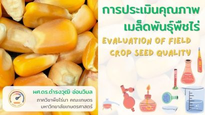 การประเมินคุณภาพเมล็ดพันธุ์พืชไร่